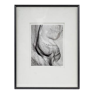 Original Abstract Graphite Drawing on Paper by Artist Dan Ratliff For Sale