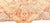 Early 20th Century Vintage Pale Beige Background Botanic Indian Amritsar Carpet For Sale - Image 5 of 8