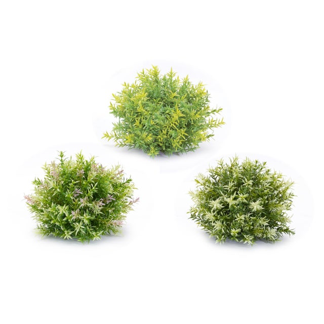 Bring a touch of nature into your space with the Variegated Mini Leaf Half Orb Set. This collection includes high-quality...