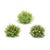 Bring a touch of nature into your space with the Variegated Mini Leaf Half Orb Set. This collection includes high-quality...