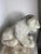 Antique Reclining Lion Sculpture on Base in Carved Stone, 1890s For Sale - Image 17 of 18