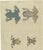 Bertuch, Four Tree Frogs Including a Blue Frog, 1815, Print For Sale - Image 12 of 12