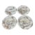 Antique Haviland & Co. Limoges Game Bird Plates - Set of Four For Sale