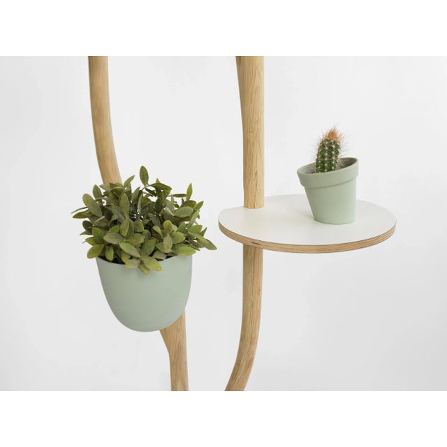 Not Yet Made - Made To Order Deluxe Branch-Out Set from Studio Lorier For Sale - Image 5 of 9