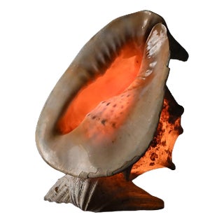 Vintage Shell Lamp For Sale