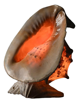 Vintage Shell Lamp