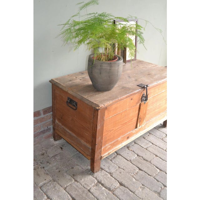 Dutch Pine Blanket Trunk, 1800s For Sale - Image 3 of 8