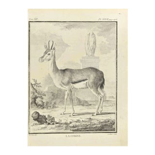Claude Jardinier, La Corine, Etching, 1771 For Sale