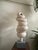 Modder Transforming Ceramic Sculpture by Françoise Jeffrey Dimensions: W 25 x 62 cm Materials: earthenware, year 2024, off...