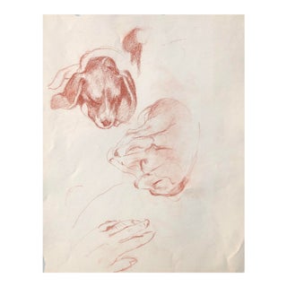 1960s Drawing of Resting Dogs For Sale