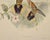 Printmaking Materials Saw-Bill Hummingbirds, Nest & Eggs: 19th C. Gould Hand-Colored "Grypus Naevius", 1850 For Sale - Image 7 of 8