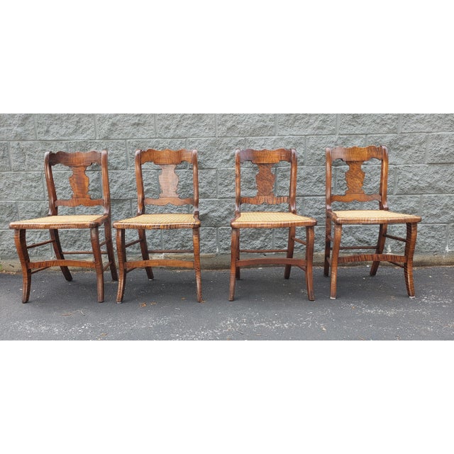Early American Tiger Wood and Cane Seat Chairs, Set of 4 For Sale - Image 12 of 12