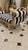 1960s 1960s French Louis XV Chaise Lounge black and white Striped For Sale - Image 5 of 7