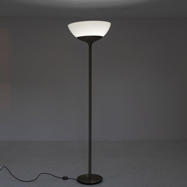 Metal Aminta Floor Lamp for Artemide, Milan, 1960s For Sale - Image 7 of 10