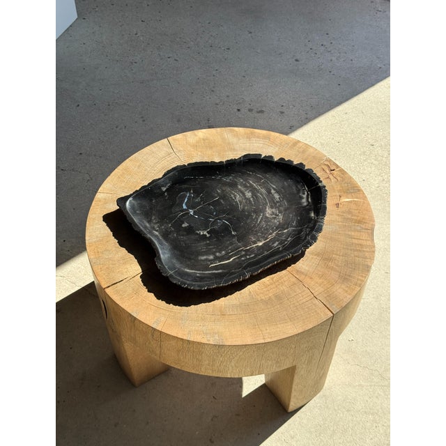 Large Trinket Tray in Black Petrified Wood For Sale - Image 16 of 16