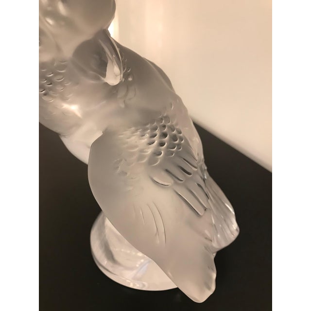 Glass Lalique Crystal Sculpture Cockatoo Bird For Sale - Image 7 of 13