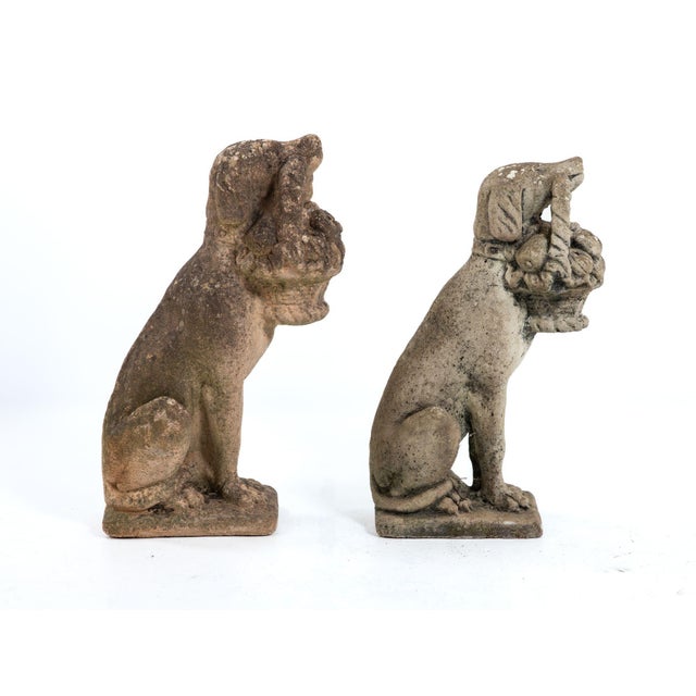 Matched Pair of Composite Stone Dogs With Fruit Baskets, England Mid 20th C. For Sale - Image 4 of 13