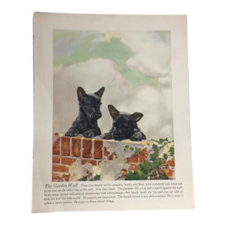 Vintage Scotch Terrier Puppies Print For Sale