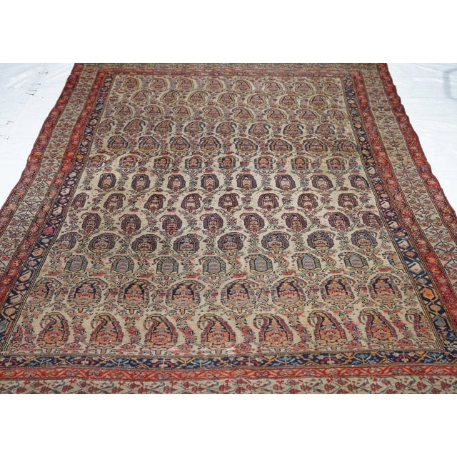 Antique Malayer Rug 5'9'' x 8'10'' For Sale - Image 10 of 11