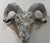 French Provincial Antique Ram's Head From South of France For Sale - Image 3 of 10