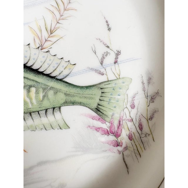 Ceramic Plates with Fish Decoration, France, 1970s, Set of 3 For Sale - Image 14 of 17