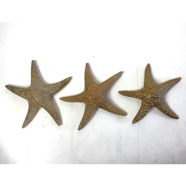 Delightful set of 3, life size, solid brass starfish, made in Korea circa 1960's. Fantastic detailed castings. Each over...