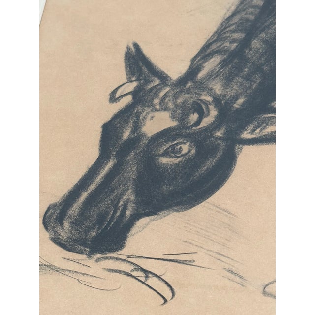 Early Mid-Century Cow Charcoal For Sale In Minneapolis - Image 6 of 9