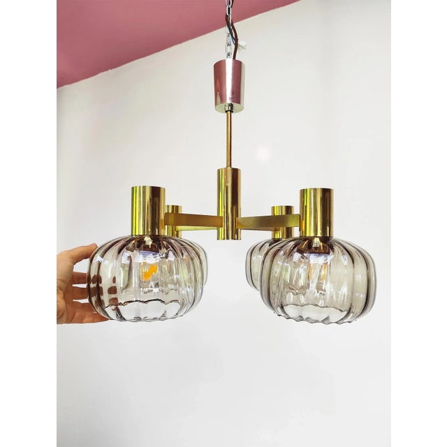 Gold Mid-Century Brass Pendant Light with Glass Tulips, 1960s For Sale - Image 8 of 9