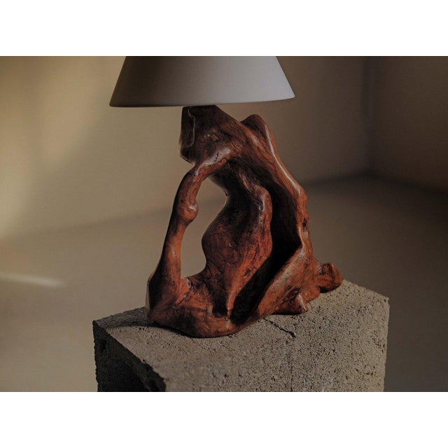 Sculptural Olive Wood Table Lamp, 1960 For Sale - Image 11 of 12