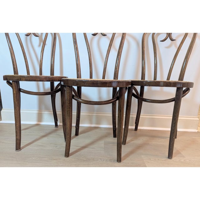 Wood 1960s Sweetheart Bentwood & Cane Chairs by ZPM Radomsko for Thonet For Sale - Image 7 of 14
