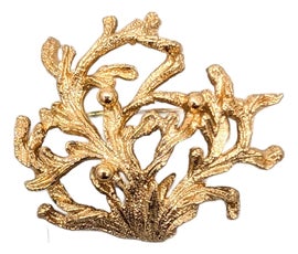 Example of Brooches