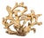Vintage 1970s Signed Napier Goldtone "Coral" Brooch For Sale