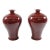 Antique Chinese Oxe Blood Porcelain Vases - A Pair For Sale