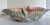 Mid 20th Century Gonder Pottery 500 Gray and Pink Sealife Shell Bowl For Sale - Image 10 of 10
