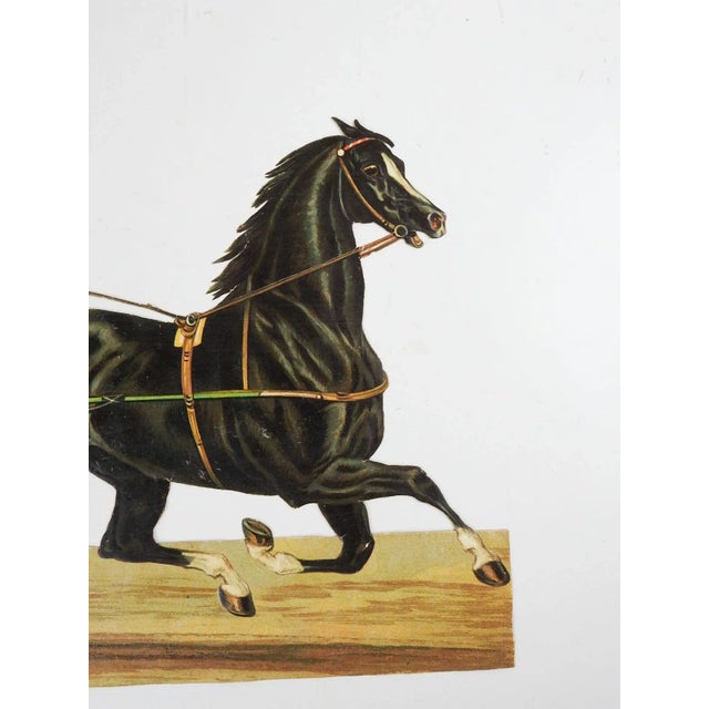 Antique early 20th century heavy paper chromolithograph diecut and embossed print of harness racehorse. Black horse with...