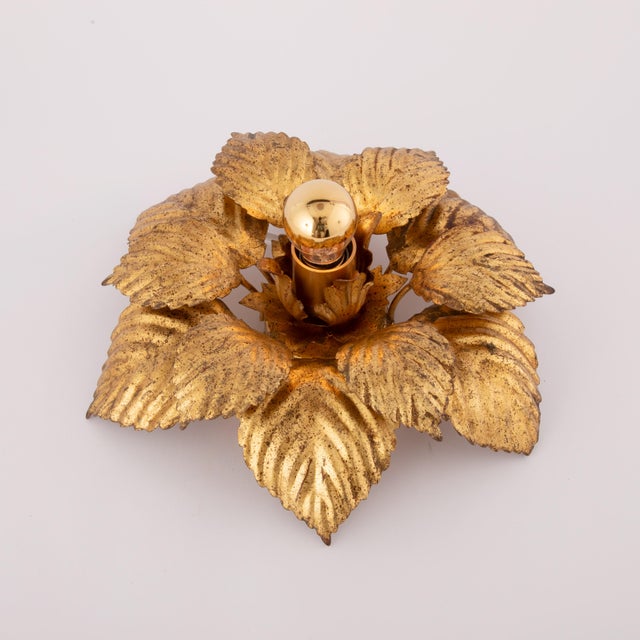 Vintage Italian Gold Leaf Flush Mount or Wall Sconce by Masca, 1970s For Sale - Image 6 of 8