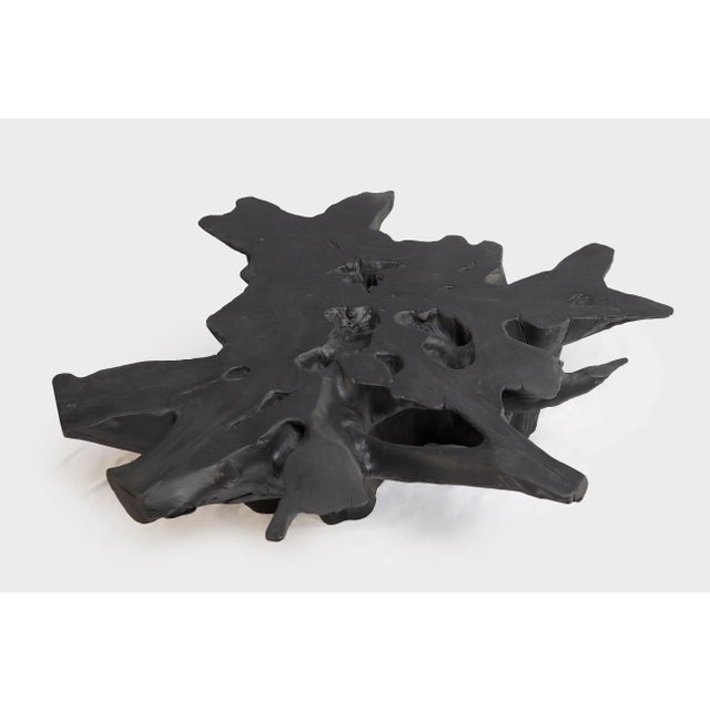Contemporary Black Burnt Organic Teak Root Coffee Table 75 For Sale - Image 3 of 6