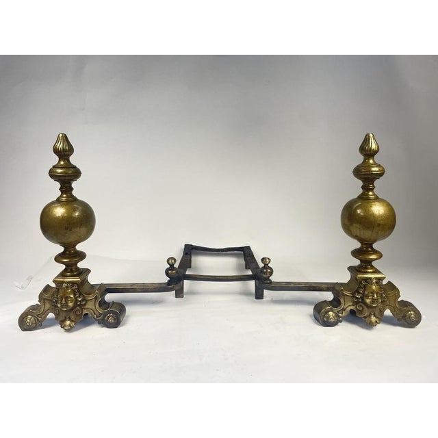 Antique Golden Bronze Wing, 1800s For Sale - Image 16 of 17