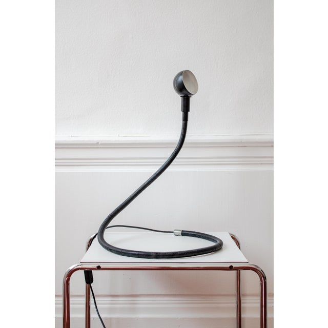 Large Black Hebi Lamp by Isao Hosoe for Valenti, 1970s For Sale - Image 15 of 16