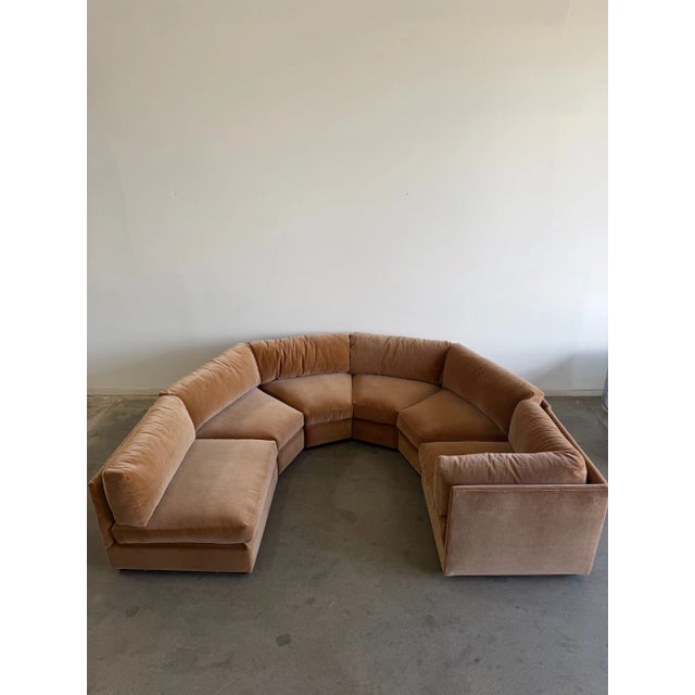 The Curved Perennial For Sale - Image 15 of 18