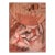 Vintage Signed Abstract Expressionist Pink & Coral Oil Painting For Sale