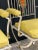 1950s 1950s Metal Parrot Armchairs - a Pair For Sale - Image 5 of 13