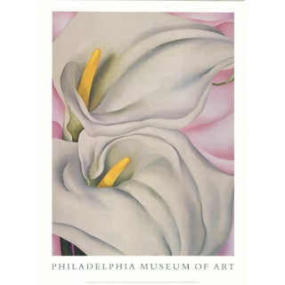 Georgia O'Keeffe - Two Cala Lilies on Pink - 1990 For Sale