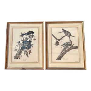 1960s XL 35"h Audubon "Birds of America" Engravings by R. Havell -Set of 2