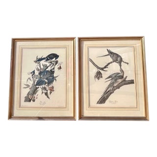 1960s XLarge 35"h Reproduction Prints of Audubon "Birds of America" Engravings by R. Havell -Set of 2 For Sale