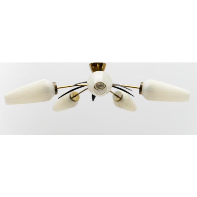 Mid-Century Modern 5-Armed Brass and Glass Sputnik Lamp, 1950s For Sale - Image 4 of 13