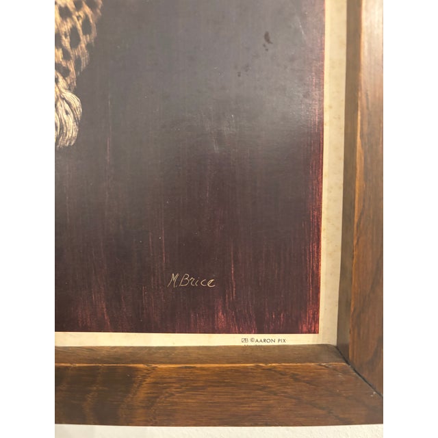 Brown Vintage “Leopard” by M. Brice Aaron Pix Wildlife Print in Wood Frame For Sale - Image 8 of 9