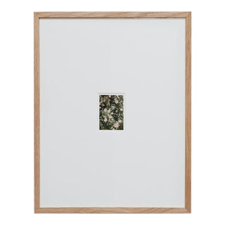 The Rose Garden Prints by David Urbano, 2018, Set of 9 For Sale