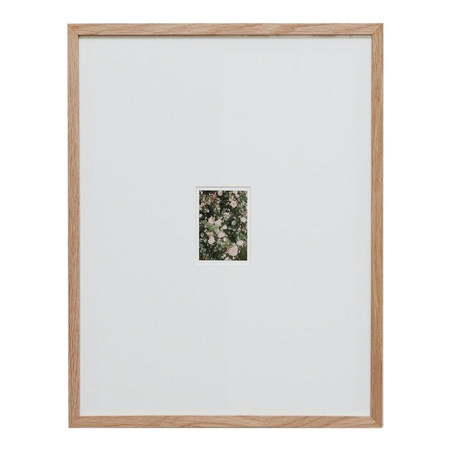 The Rose Garden Prints by David Urbano, 2018, Set of 9 For Sale