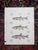 Realism Antique 19th Century Hand Colored American Fish Lithographs - Set of 3 For Sale - Image 3 of 5